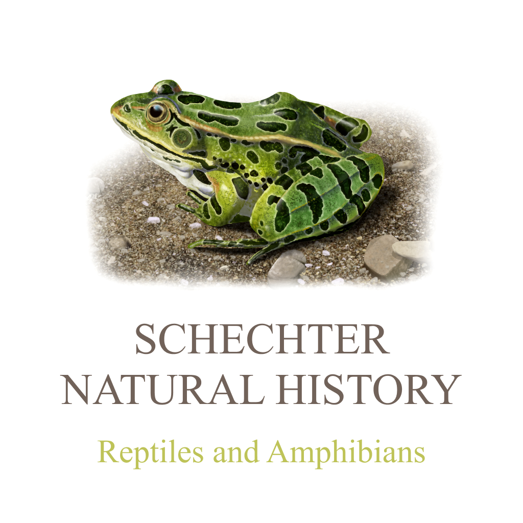 A Guide to Reptiles and Amphibians of North America