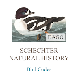 Bird Codes