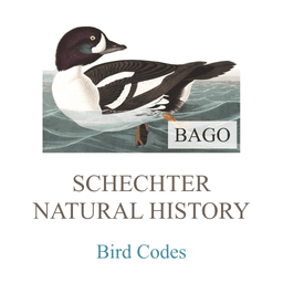 Bird Codes