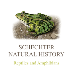 Reptiles and Amphibians of North America