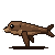Claude Fable 5.1: California sea lion in motion