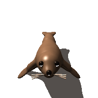 Claude Fable 5.1: California sea lion turning in 3D
