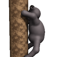 Claude Fable 5.1: American black bear doing a natural behavior