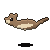 Claude Fable 5: Northern flying squirrel in motion