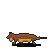 Claude Fable 5: California newt in motion