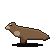 Claude Fable 5: California sea lion in motion