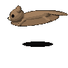 Claude Fable 5: Northern flying squirrel turning in 3D