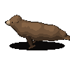 Claude Fable 5: California sea lion turning in 3D