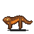 Claude Opus 4.8: California newt in motion