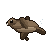 Claude Opus 4.8: California sea lion in motion