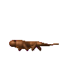 Claude Opus 4.8: California newt turning in 3D