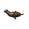 Claude Opus 4.8: California sea lion turning in 3D