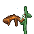 Claude Opus 4.8: California newt doing a natural behavior