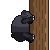 Claude Opus 4.8: American black bear doing a natural behavior