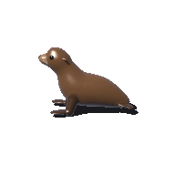 Claude Opus 5.5: California sea lion turning in 3D