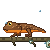 Claude Opus 5.5: California newt doing a natural behavior