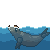 Claude Opus 5.5: California sea lion doing a natural behavior