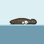 Claude Sonnet 5: California sea lion doing a natural behavior