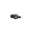 Composer 2.5: Northern flying squirrel turning in 3D