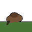 Composer 2.5: American bison doing a natural behavior