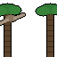 Composer 2.5: Northern flying squirrel doing a natural behavior