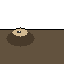 Composer 2.5: Black-footed ferret doing a natural behavior