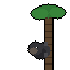Composer 2.5: American black bear doing a natural behavior
