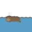 Composer 2.5: California sea lion doing a natural behavior