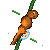 Gemini 3.7 Flash: California newt doing a natural behavior