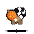 Gemini 3.7 Flash: bassariscus-astutus-pumpkin-halloween.gif