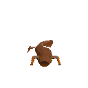 Gemini 3.8 Flash: California newt turning in 3D