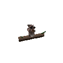 Gemini 3.8 Flash: Northern flying squirrel doing a natural behavior