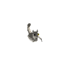 Gemini 3.8 Flash: ringtail-mummy-halloween.gif