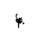 Gemini 3.8 Flash: ringtail-skeleton-beast-halloween.gif