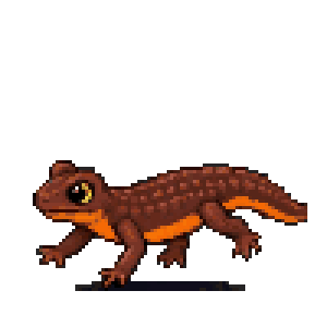 Gemini 4 Argon: California newt in motion