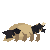 GPT-5.6 Luna: Black-footed ferret in motion