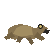 GPT-5.6 Luna: Sonoran green toad in motion