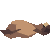 GPT-5.6 Luna: California sea lion turning in 3D