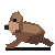 GPT-5.6 Sol: California sea lion in motion