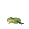GPT-5.6 Sol: Sonoran green toad turning in 3D