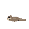 GPT-5.6 Sol: Northern flying squirrel turning in 3D