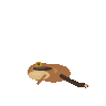 GPT-5.6 Sol: pseudacris-ornata-3d-motion.gif