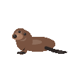 GPT-5.6 Sol: California sea lion turning in 3D