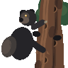 GPT-5.6 Sol: American black bear doing a natural behavior