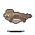 Grok 4.5: Northern flying squirrel in motion