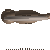 Grok 4.5: Northern flying squirrel turning in 3D