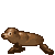 Grok 4.6: zalophus-californianus-motion.gif