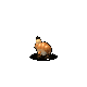 Grok 4.6: ornate-chorus-frog-3d-motion.gif
