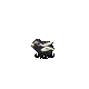 Grok 4.6: black-bear-halloween.gif