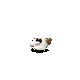 Grok 4.6: northern-flying-squirrel-halloween.gif
